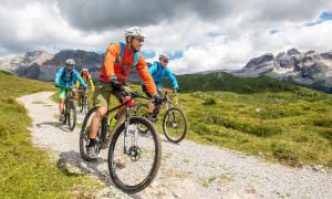 Mountain bike a Madonna di Campiglio, scopri i tracciati per i bikers più allenati o scegli la pista ciclabile della Val Rendena.